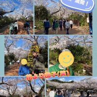 画像311