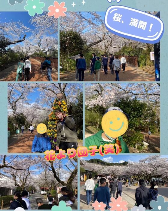 画像311
