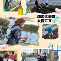 画像330