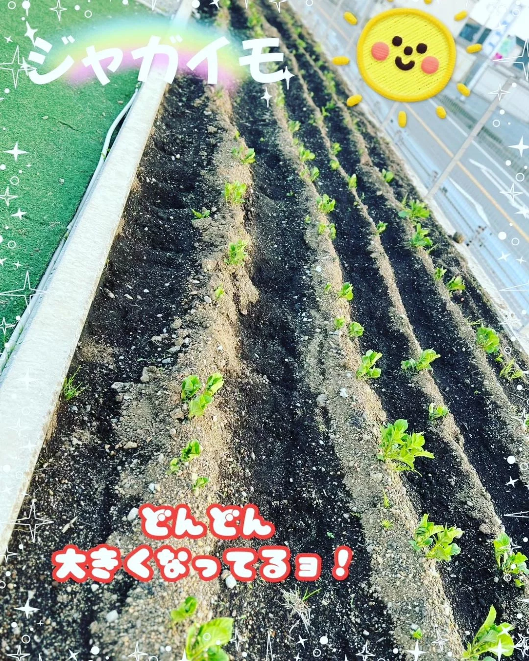 画像359