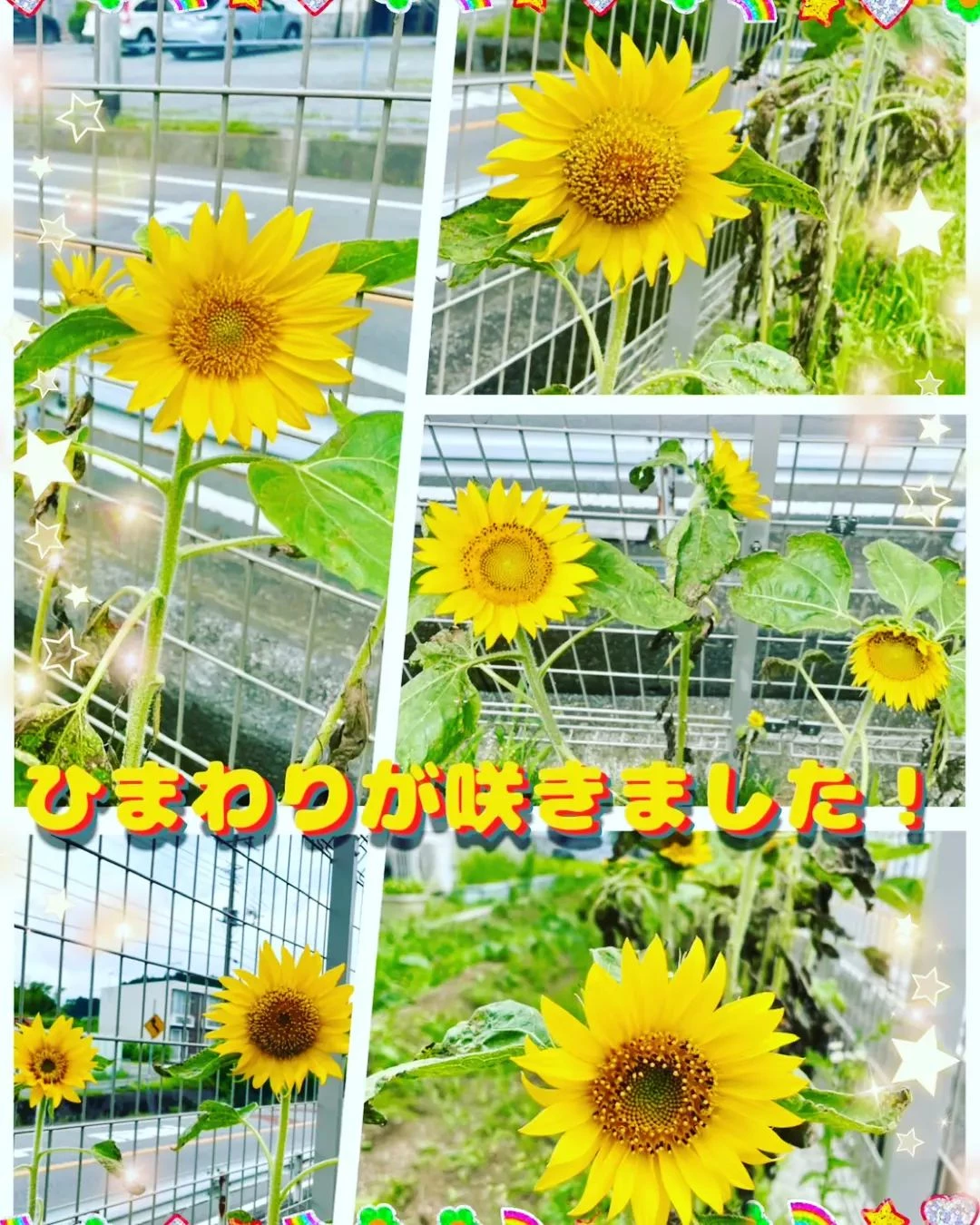 画像377