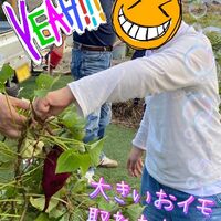 画像410