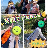 画像428